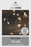 Draadverlichting Zilver 100 LED 5m WW