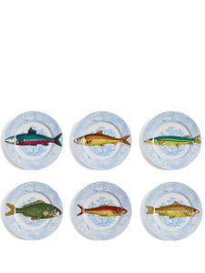 Fornasetti assiettes en porcelaine Piscibus (lot de six) - Blanc