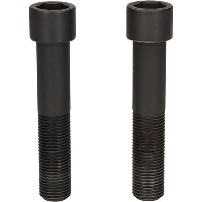 KS Tools 460.3786 Bevestigingsschroeven, lang, M16x1,5, lengte 96 mm, verpakking van 2 stuks
