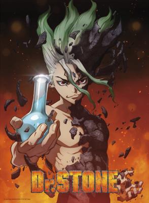 Poster Dr Stone Senku 38x52cm