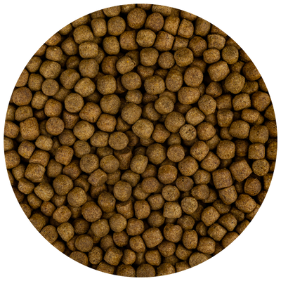 Fd Food Build-Up Extra M Koi-Voer 5,7mm - Groei & Gezondheid bij Lage Temperaturen 3kg