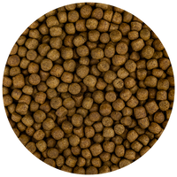 Fd Food Build-Up Extra M Koi-Voer 5,7mm - Groei & Gezondheid bij Lage Temperaturen 3kg Fd Food Build-Up Extra M Koi-Voer 5,7mm - Groei & Gezondheid bij Lage Temperaturen 3kg