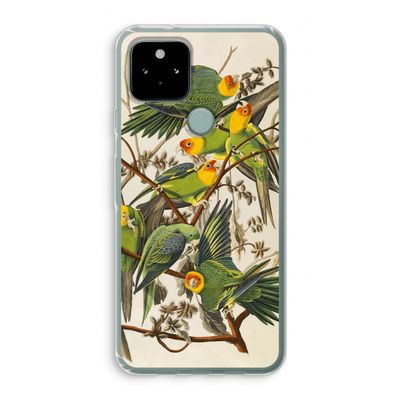 Carolinaparkiet: Google Pixel 5 Transparant Hoesje