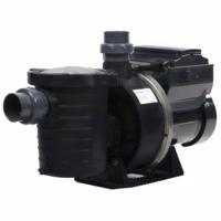 Pentair Ultraflow VSD2 Zwembadpomp - Energiezuinig & Stil met Groot Voorfilter Pentair Ultraflow VSD2 Zwembadpomp - Energiezuinig & Stil met Groot Voorfilter