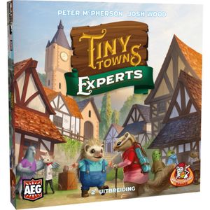 Tiny Towns: Experts (2e Uitbreiding) Bordspel