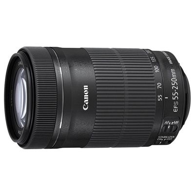 Canon EF-S 55-250mm F/4.0-5.6 IS STM