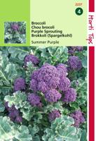Zaden Broccoli Summer Purple Hortitops - Hortitops
