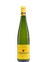 Trimbach Riesling | Witte wijn | Frankrijk | Ribeauvillé | Gratis verzending v.a. 6 flessen - thumbnail