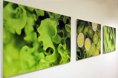 Foto verlijmd op aluminium 80x100 cm