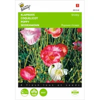 Papaver, Klaproos Shirley dubbelbloemig gemengd Papaver, Klaproos Shirley dubbelbloemig gemengd