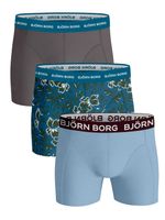 Bjorn Borg - Ess. Cotton Shorts - 3 pack -