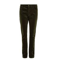 Damesbroek Honeysuckle Olive