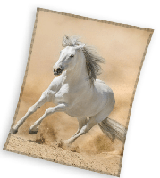 Sweet Home paarden fleeceplaid Beige 130x160cm