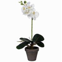 Kunstplant Phalaenopsis Orchidee - wit - grijze pot - H38 x D13 cm - kamerplant