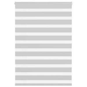 VidaXL Zebra rolgordijn 100x100 cm stofbreedte 95,9 cm lichtgrijs