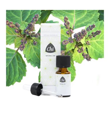 Patchouli cultivar