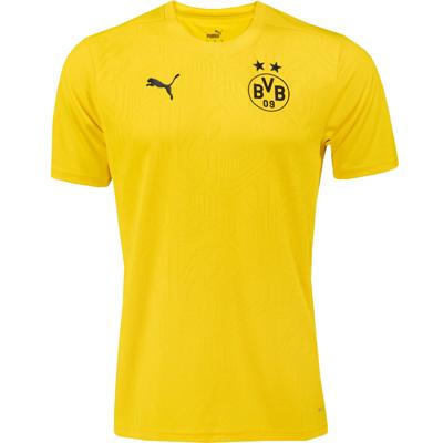 PUMA Borussia Dortmund Trainingsshirt 2024-2025 Geel Zwart