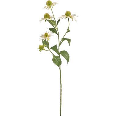 Kunstbloem Rudbeckia Spray - peach - 73 cm - Leen Bakker