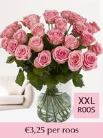 Roze rozen XXL - Kies je aantal (Sophia Loren) - 10 t/m 99 rozen