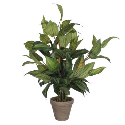 Decoratieve plant Mica Decorations Hosta Groen PVC (15,5 x 65 cm)