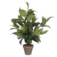 Decoratieve plant Mica Decorations Hosta Groen PVC (15,5 x 65 cm)
