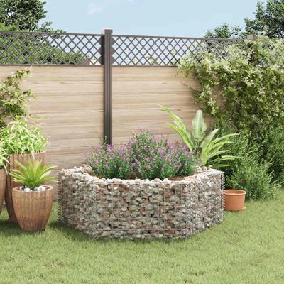 Gabion plantenbak verhoogd zeshoekig 160x140x50 cm