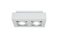 Artdelight OpbouwspotBosco dubbel - PL BOSCO2 WI