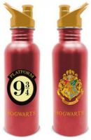 Harry Potter Metal Canteen Bottle - Platform 9 3/4