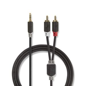 Stereo audiokabel | 3,5 mm male - 2x RCA male | 10 m | Antraciet