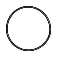 O-Ring voor Deksel Pentair IntelliFlo Whisperflo zwembadpomp - thumbnail