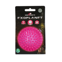 Dog Comets Exoplanet Egelbal M Roze