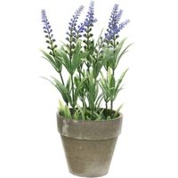 Groene/paarse Lavandula/lavendel kunstplant 25 cm in beton pot - thumbnail