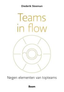 Teams in flow (Paperback)