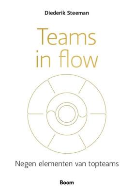Teams in flow (Paperback)