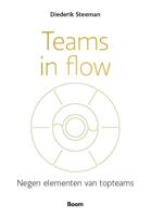 Teams in flow (Paperback)
