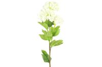 Decostar zijdebloem Viburnum 60 cm crème