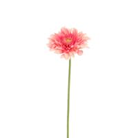 Gerbera Vanda Kunstbloem 48cm Roze