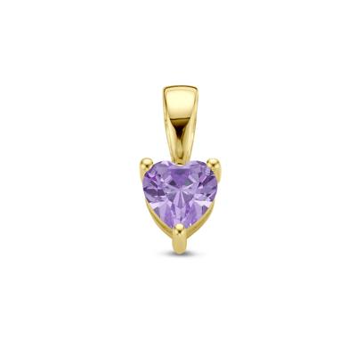14K Geelgouden Hart Hanger met Februari Geboortesteen - 9,5mm