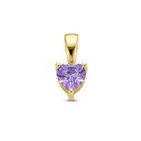 14K Geelgouden Hart Hanger met Februari Geboortesteen - 9,5mm