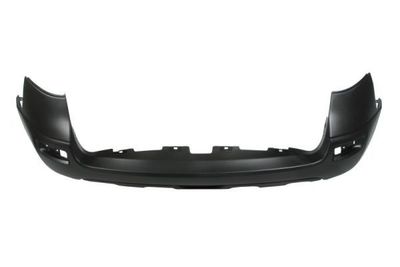 Bumper 5506006053950P