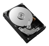 Dell 300GB SAS 15K
