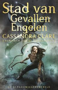 Stad van Gevallen Engelen (Paperback)