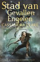 Stad van Gevallen Engelen (Paperback)