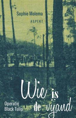 Wie is de vijand (Paperback)