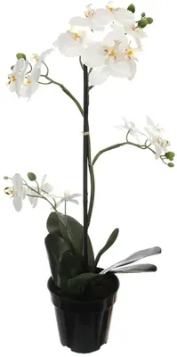 Pure Royal kunstplant orchidee 67cm crème