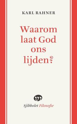 Waarom laat God ons lijden? (Paperback)
