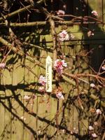 Houten plantenetiketten met ijzerdraad geel H10cm set a 15 stuks - Nature