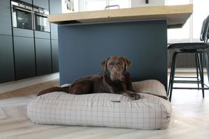 Dog's Companion® Hondenbed Manhattan camel extra small