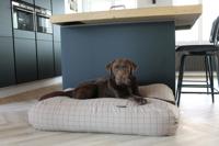 Dog's Companion® Hondenbed Manhattan camel extra small
