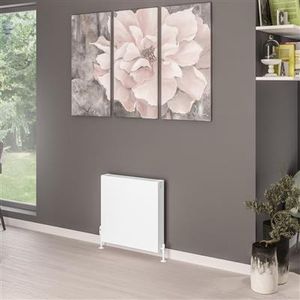 Eastbrook Type 22 paneel radiator 60x60cm 1147W wit mat